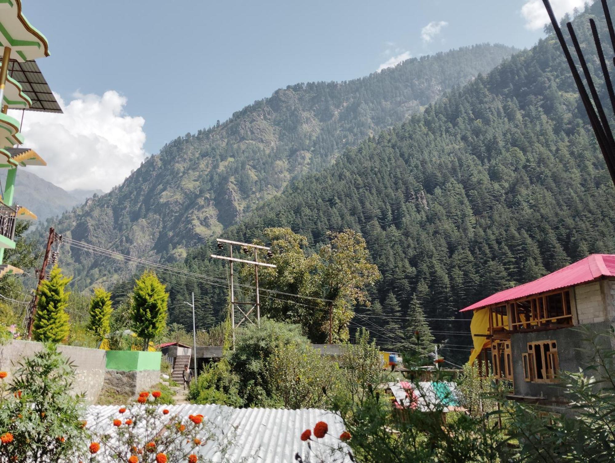 Dog N Hill Hotel Kasol Kültér fotó