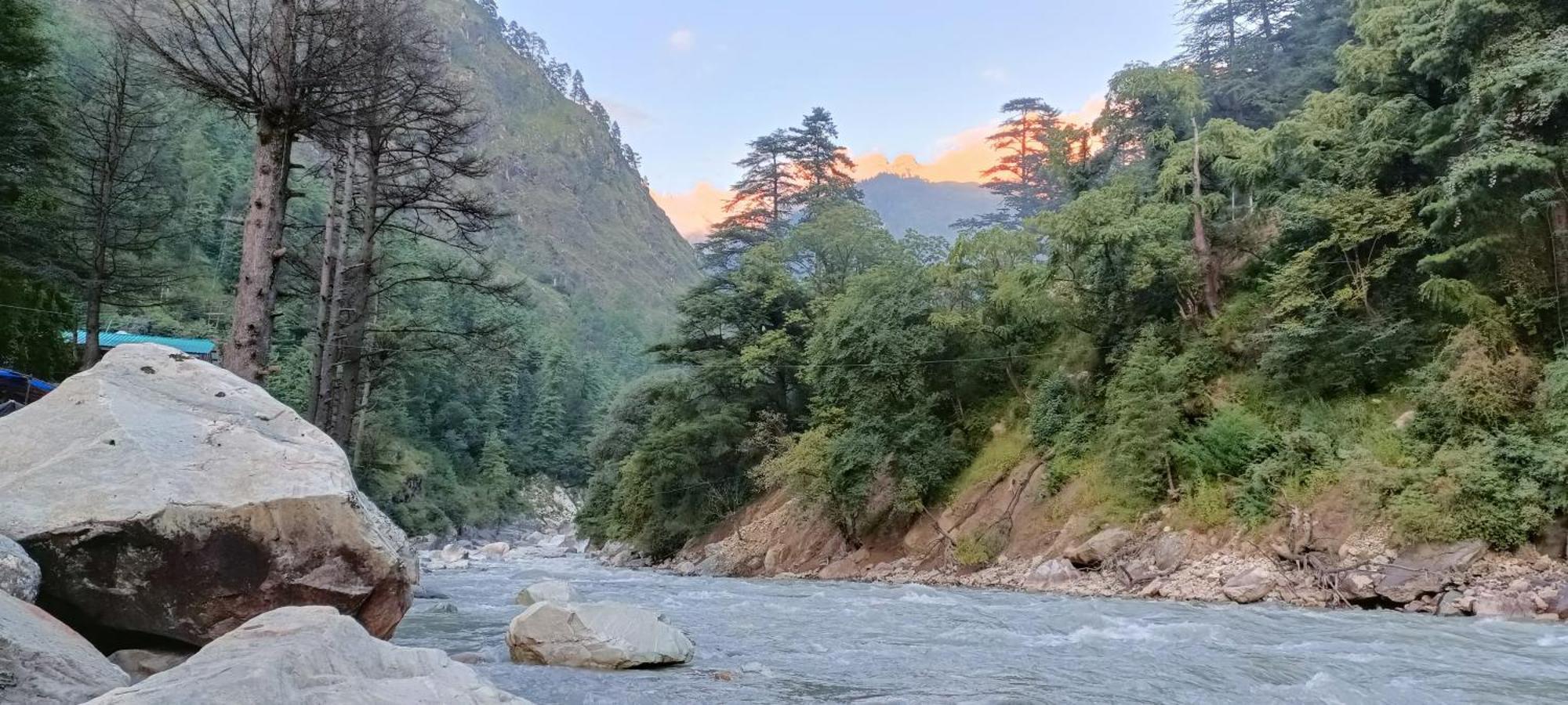 Dog N Hill Hotel Kasol Kültér fotó