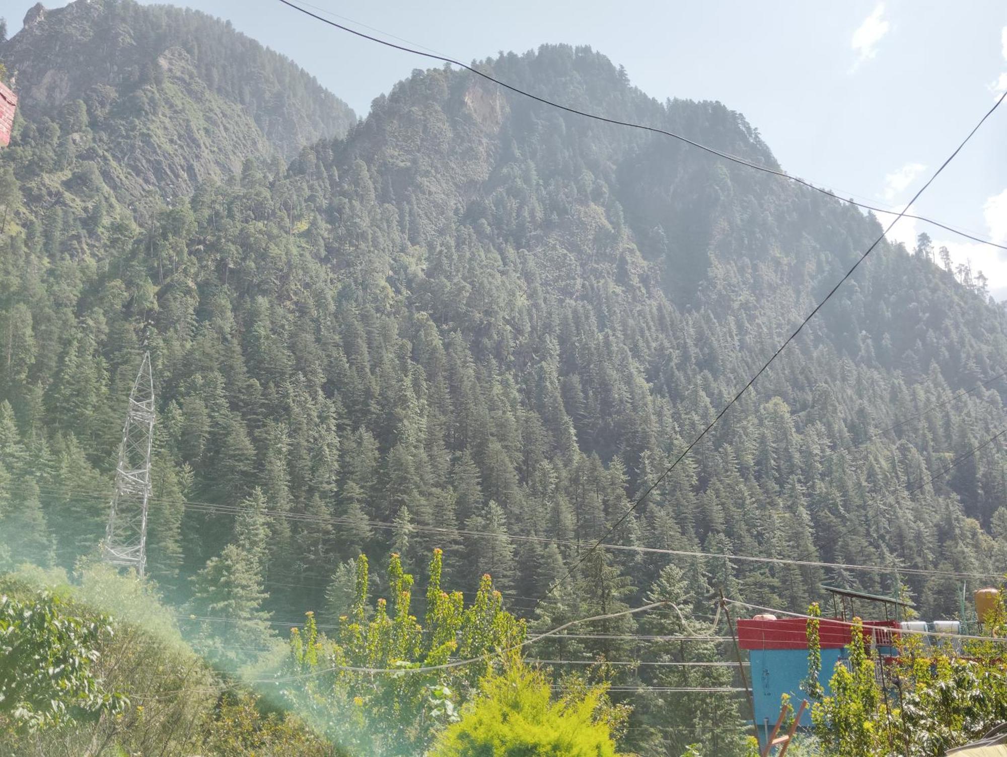 Dog N Hill Hotel Kasol Kültér fotó