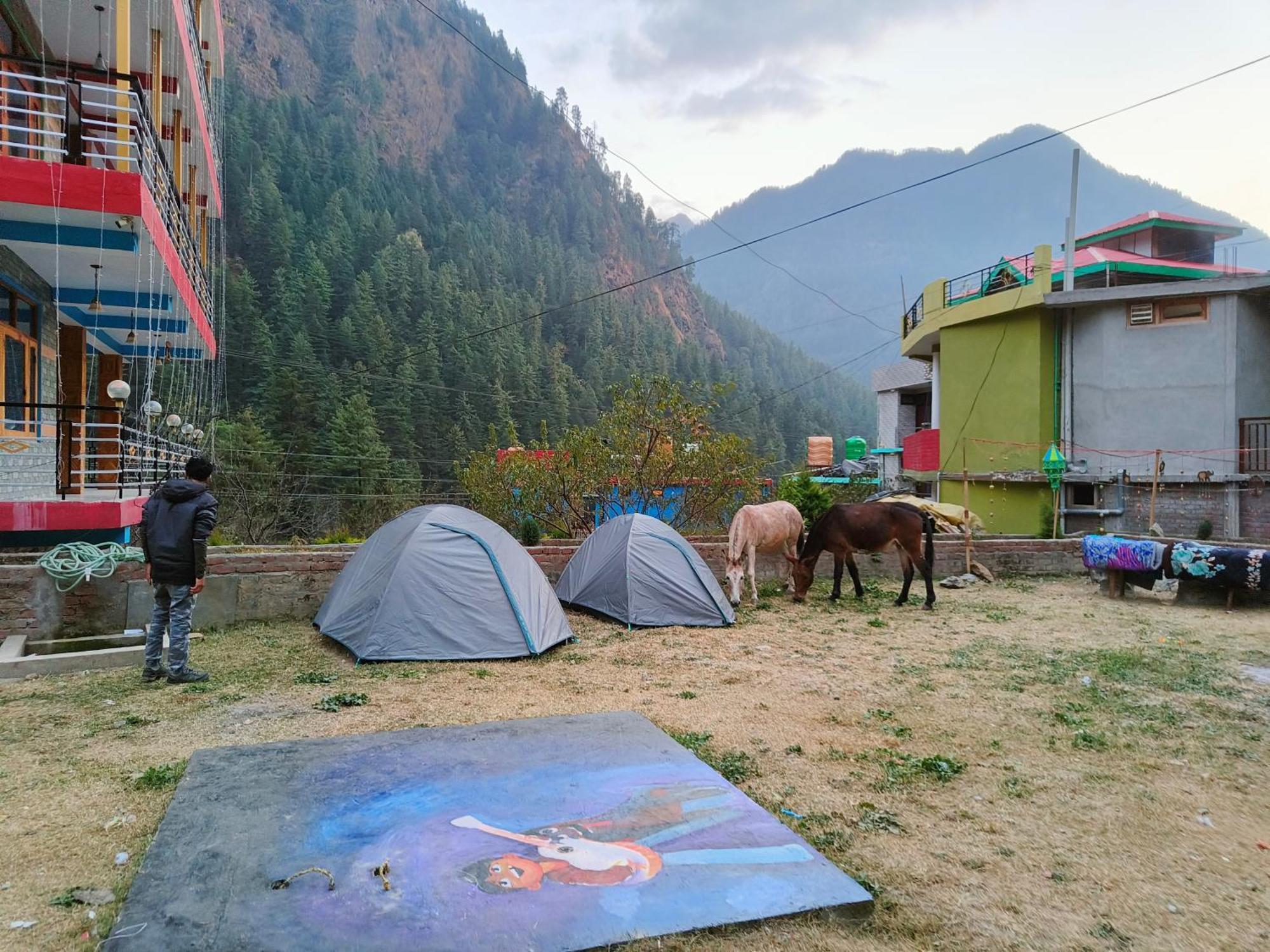 Dog N Hill Hotel Kasol Kültér fotó